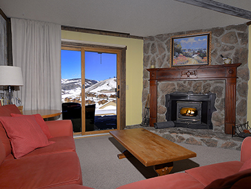 mt crested butte ski condo